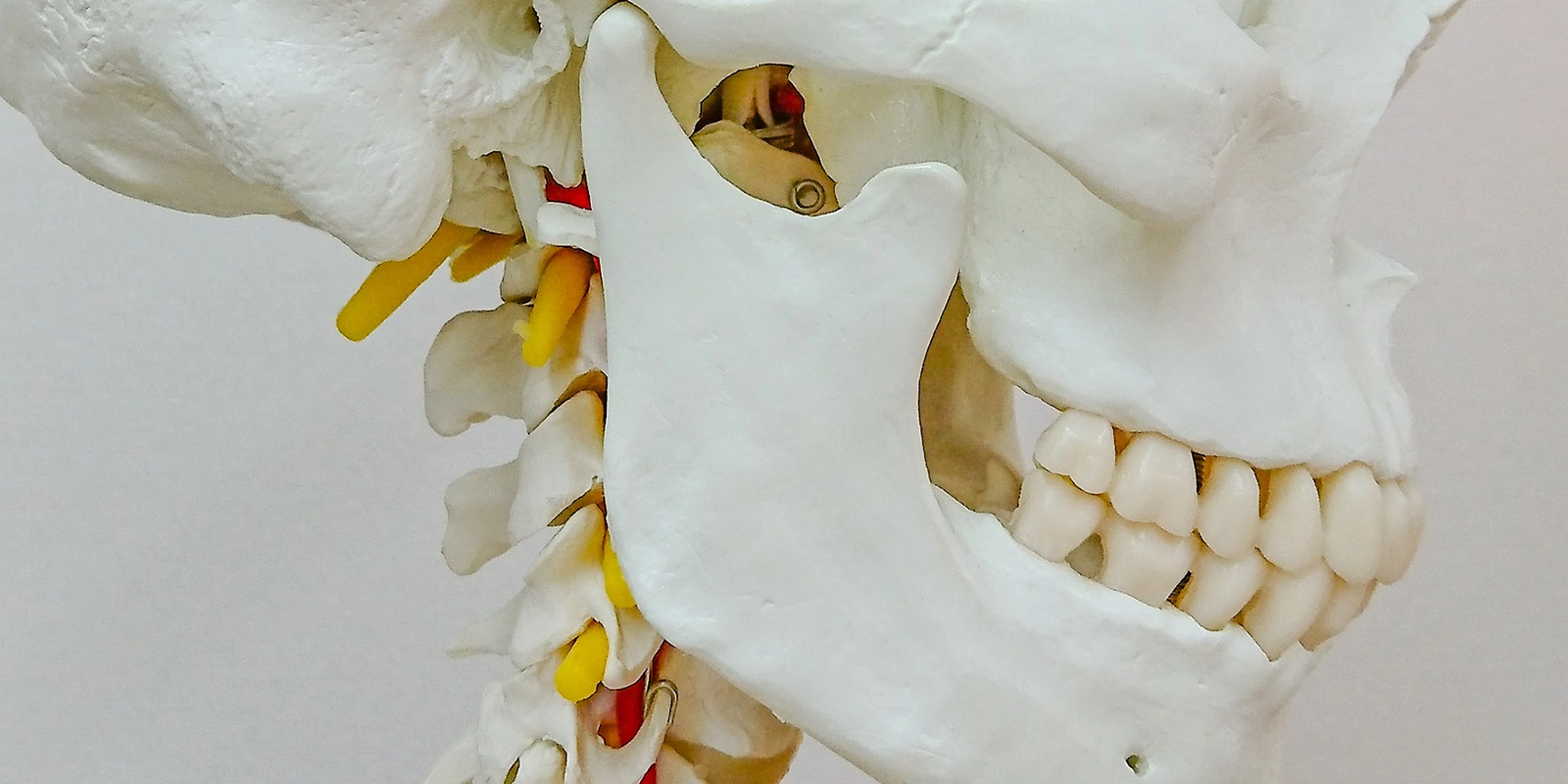 顎関節症とはどんな病気？